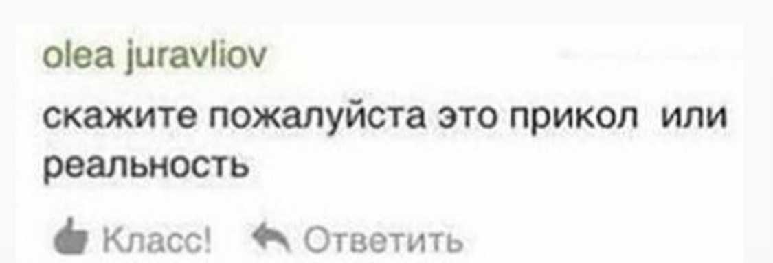 Что такое мемы и почему они так популярны | рбк тренды