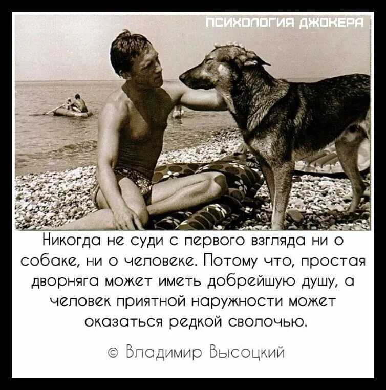 Собака научилась улыбаться как человек и прославилась в инстаграме