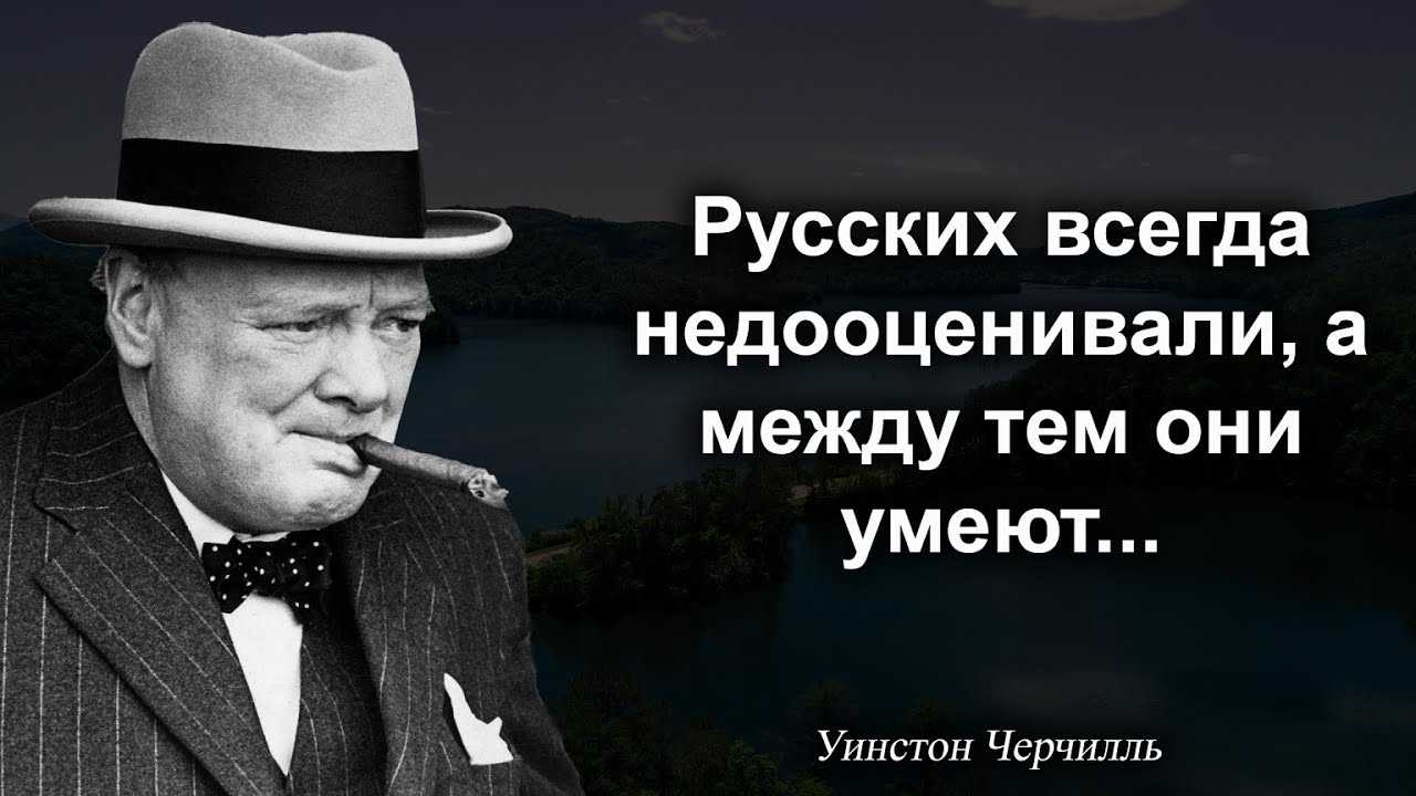 В тиктоке возрождают тренд с глубокомысленными цитатами от волков В них альфачи делятся своей мудростью и качаются на турниках под блатную музыку