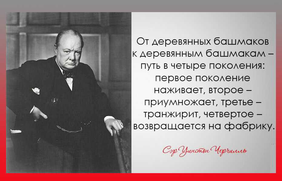 Цитаты волка из тик ток: подробра шуток и фраз со смыслом