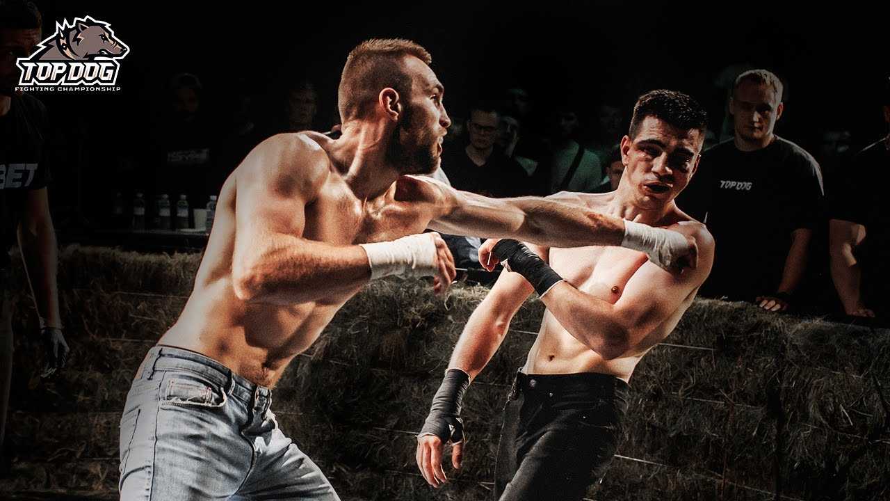 Короли кринжа возвращаются – новый турнир epic fighting championship. когда и где состоится бой мурад — монгол