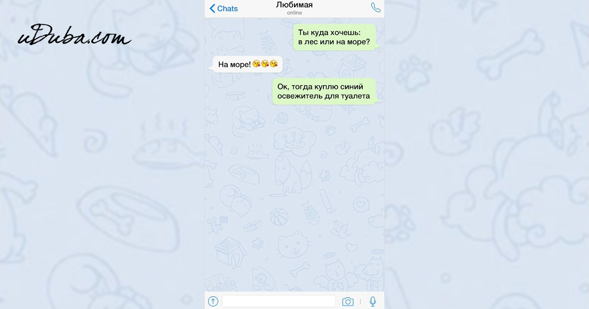 Бот в телеграмме не отвечает — что делать