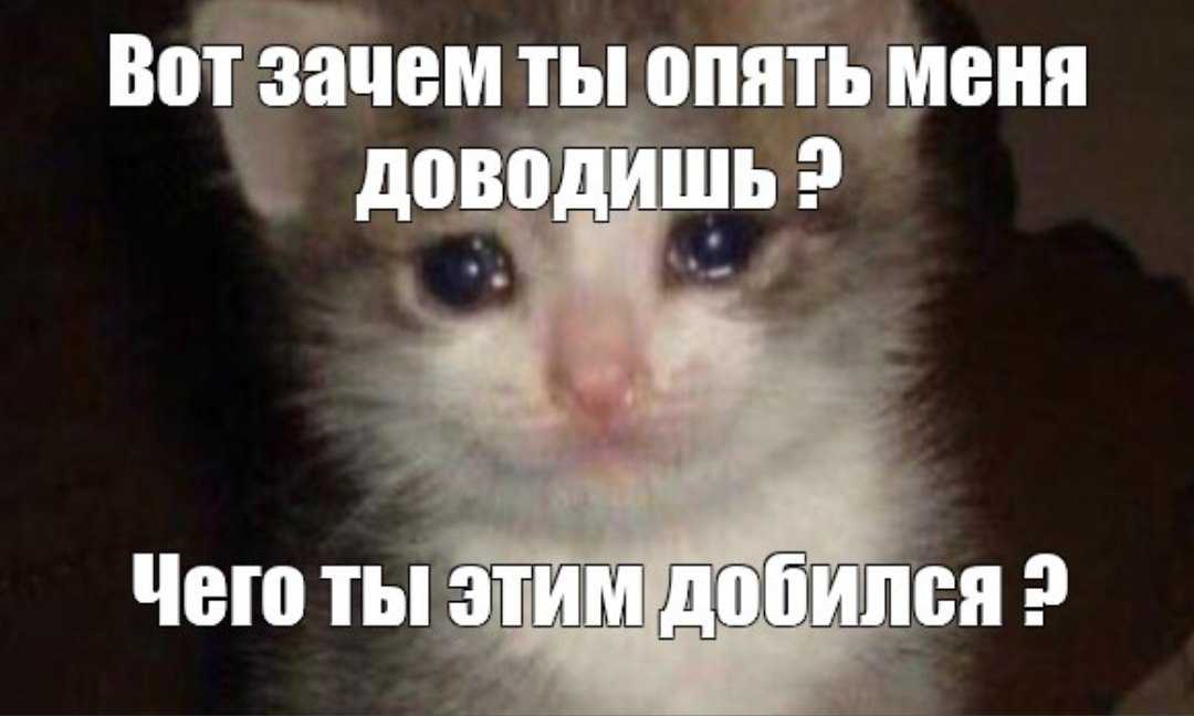 «я: твиттер vs саморазвитие». неверный парень стал новым мемом о том, как сложно устоять перед соблазнами