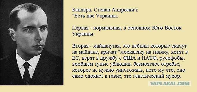 Степан бандера. запах миндаля как прощальное послание