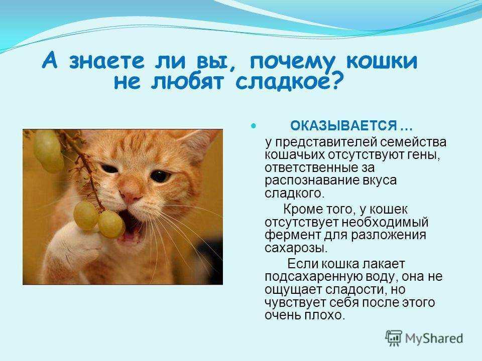 На дне