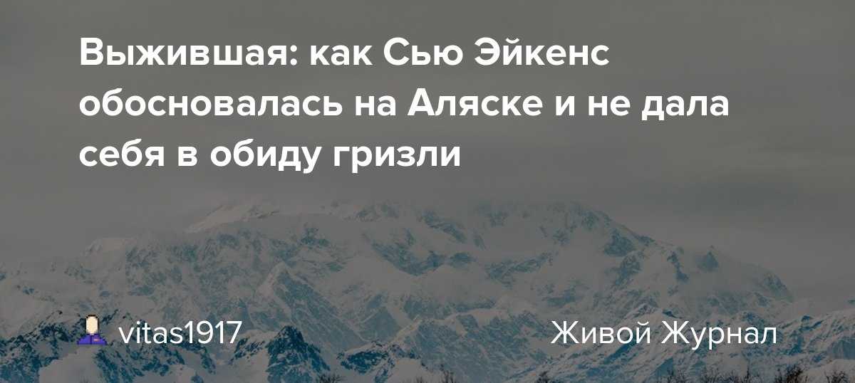 На Аляске в рамках конкурса Fat Bear Week нашлась медведица с выдающимся телом и такими же аппетитами Это самка Холли, и она ест даже во сне