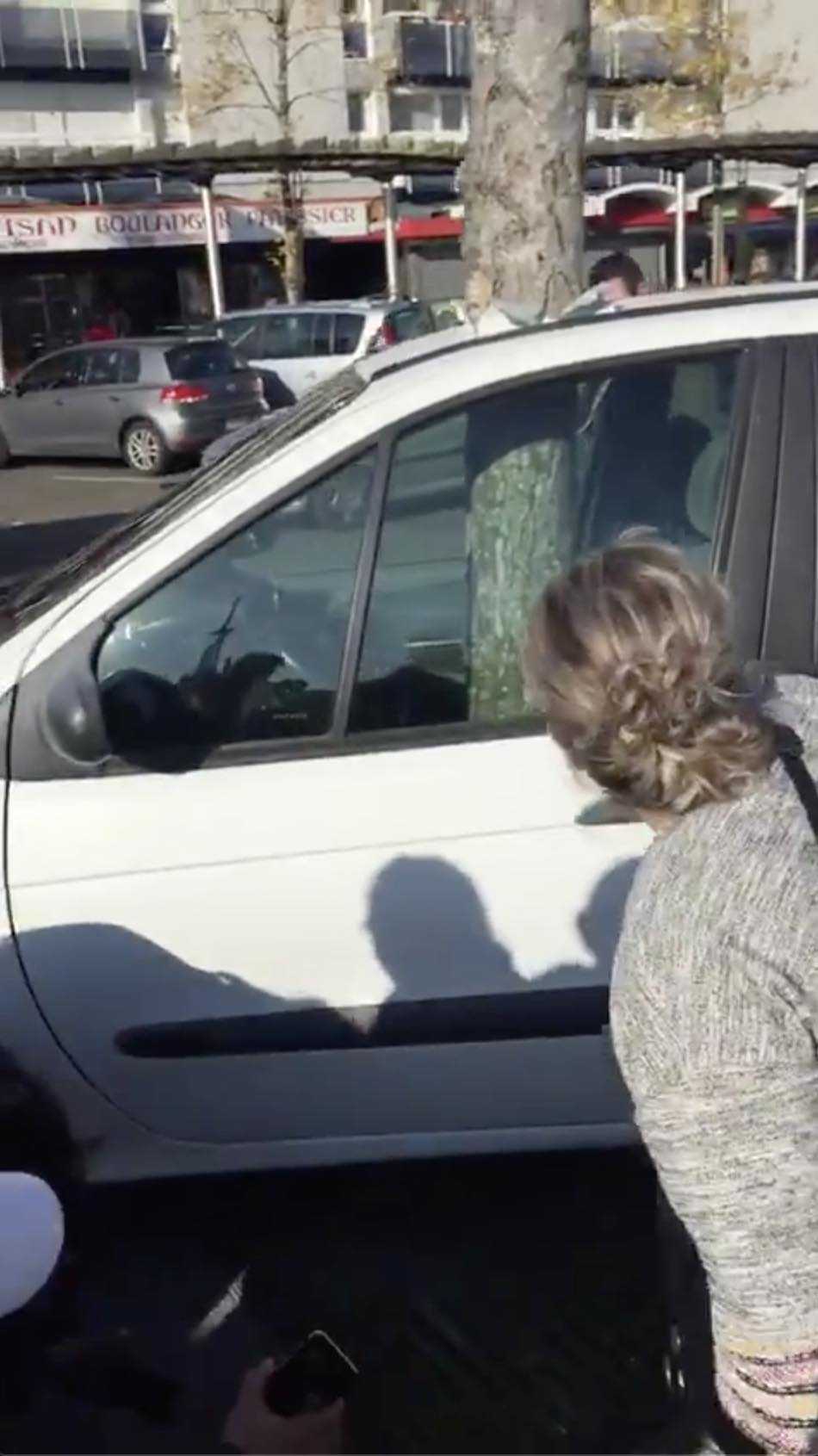 Дерево через которое проезжают автомобили