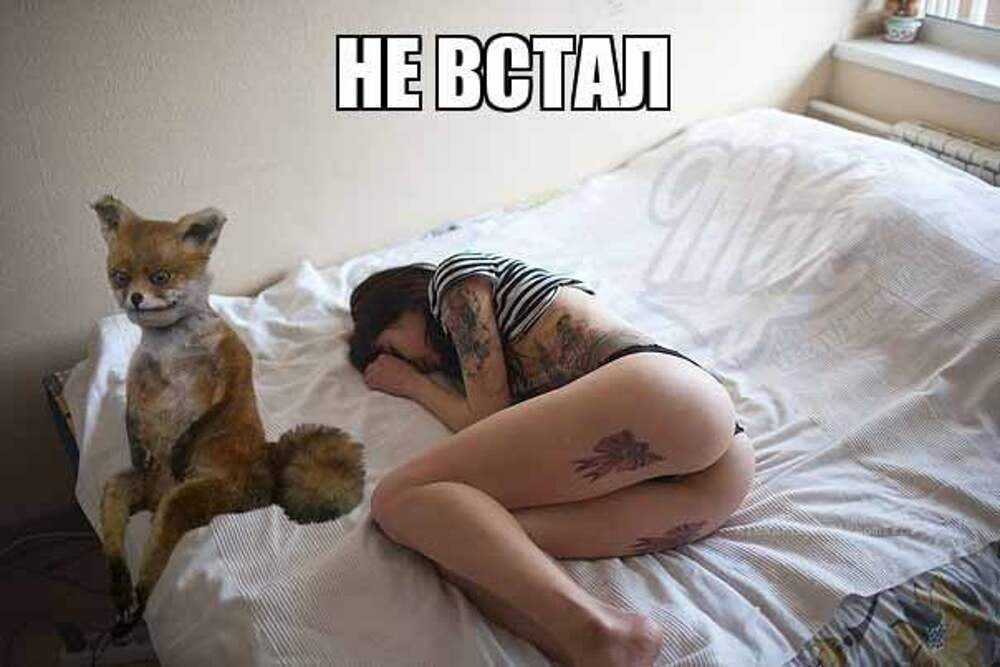 Мем моль в зеркале