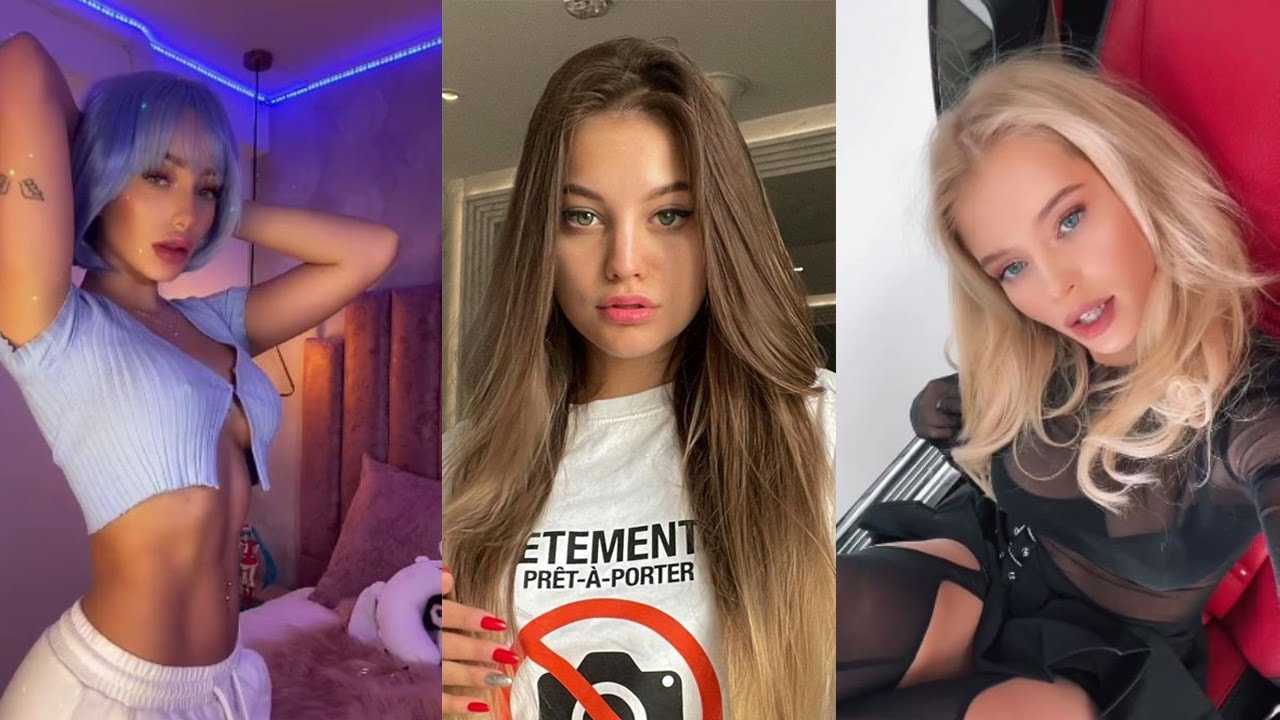 Щенки tiktok – топ 20 самых няшных аккаунтов с собачками