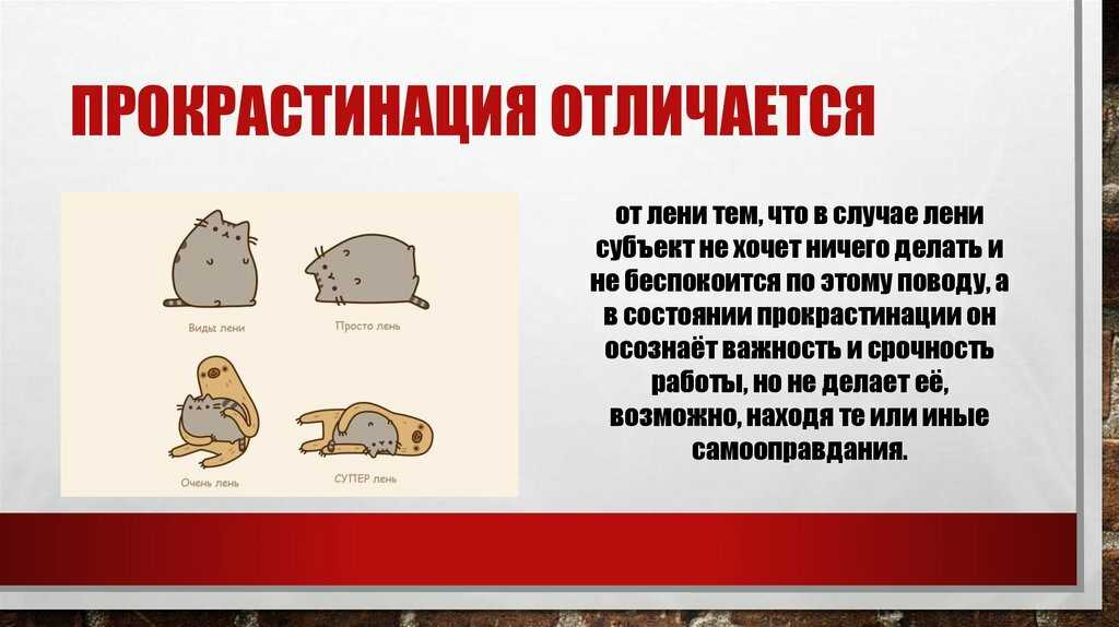 Что такое «расхолодка» и «стонота». слова из русских диалектов, которых нам не хватало всю жизнь
