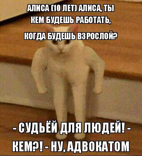 Пользователи Сети превратили в мем фразу Отрезал ти руку Изначально цитата, придуманная анимешниками, символизировала признание в любви