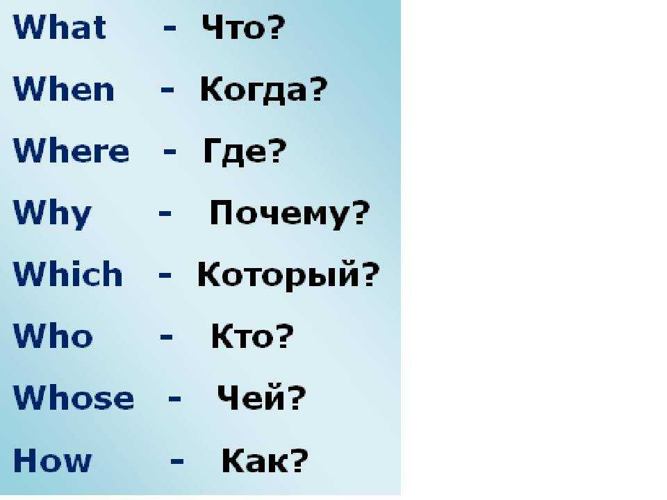 Бебра это мем что значит