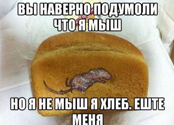 В чем прикол мем. казалось бы причем тут украина: откуда мем и в чем прикол