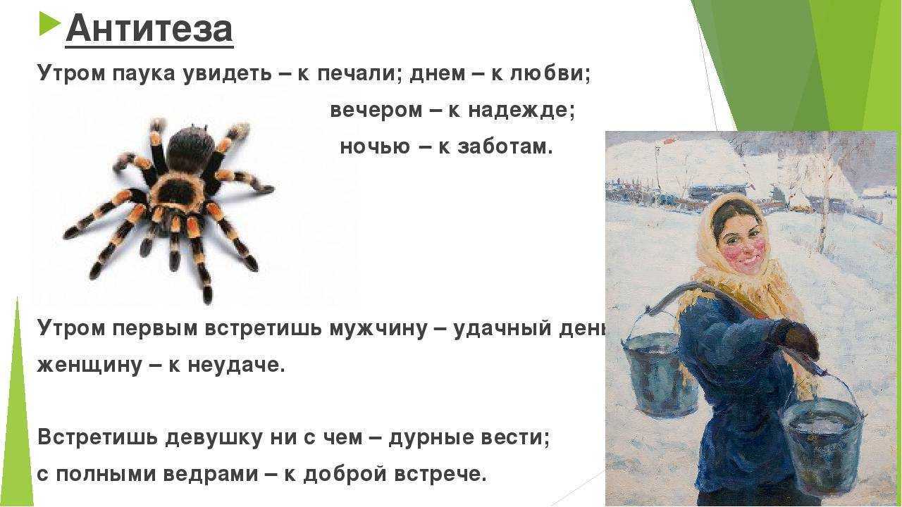 ​«человек-паук: нет пути домой»: объяснение концовки, разбор сцен после титров и что будет в новой трилогии о паучке