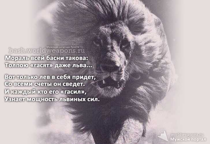 Топ-10 животных, способных убить льва — только факты!
топ-10 животных, способных убить льва — только факты!