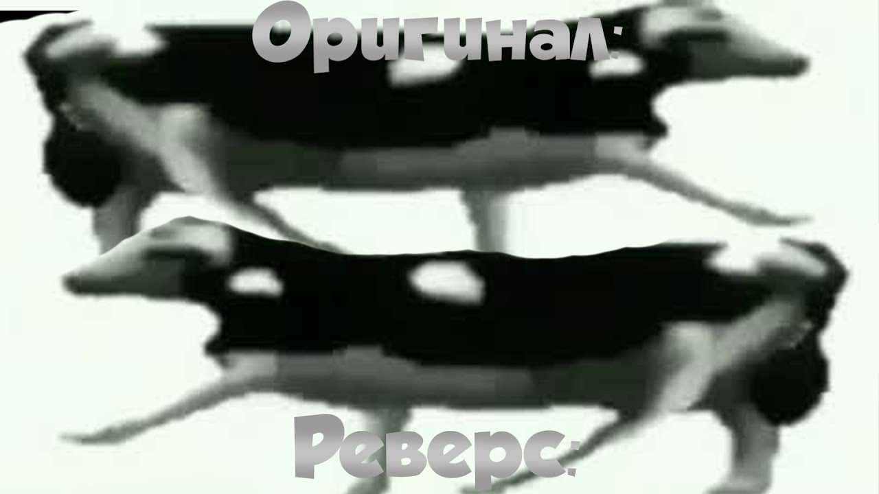 Видео с танцующей коровой под польскую песенку. что же в нём не так ?