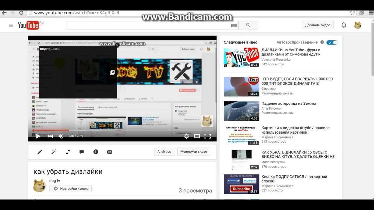 Программист-энтузиаст вернул youtube «дизлайки», которые google без спроса отнял у пользователей