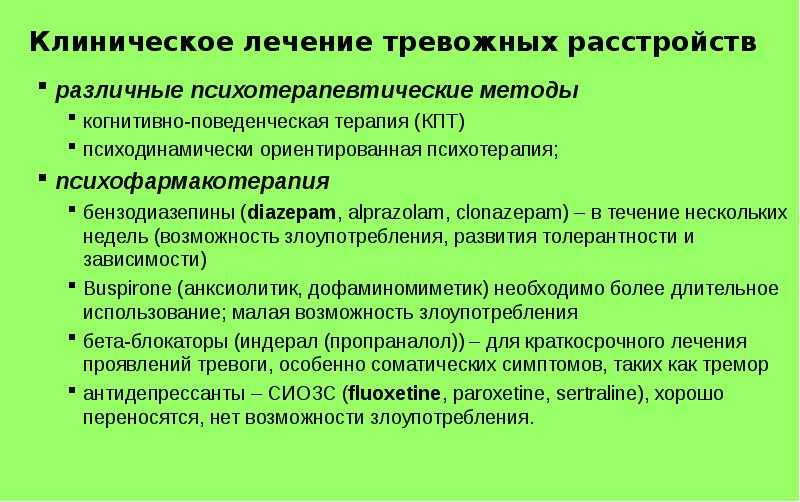 Анекдот против мема: как от историй про вовочку мы перешли к котам наташи