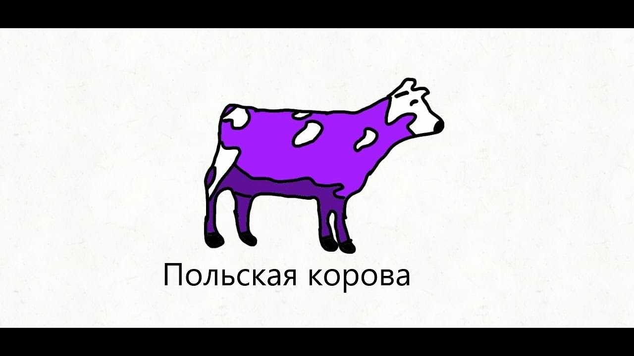 Корова танцует 10 часов под польскую музыку