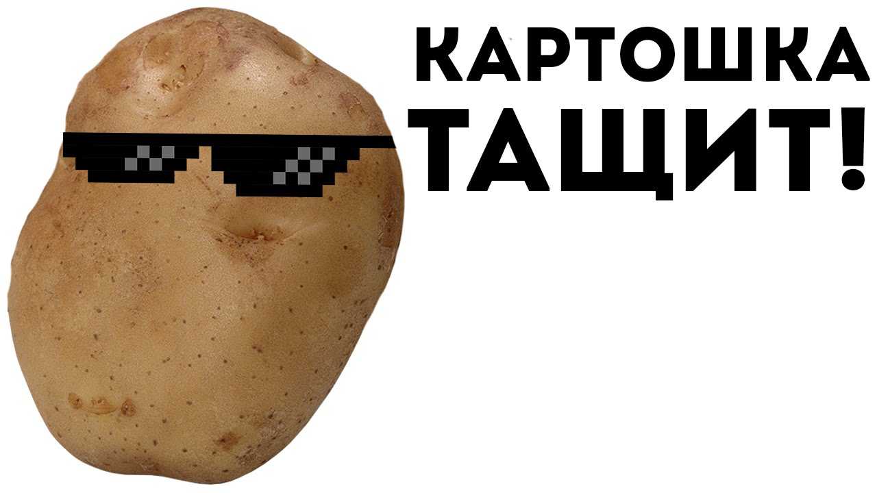 Картошка с усами мем
