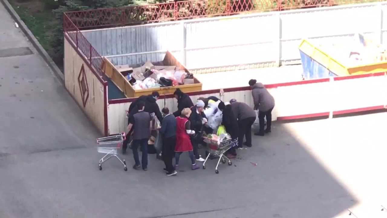 Саратовцы могут пожаловаться на просрочку в магазинах | саратов 24