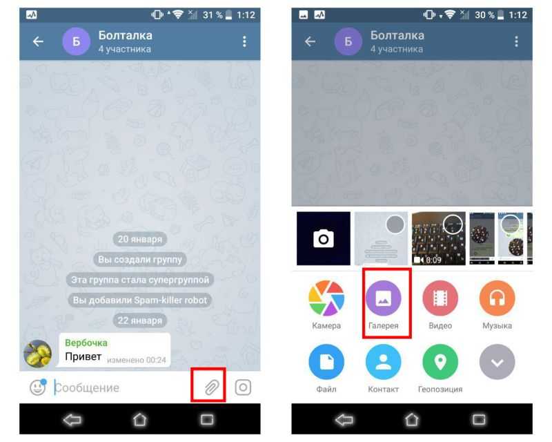 Лучшие боты osintа \ пробива telegram.