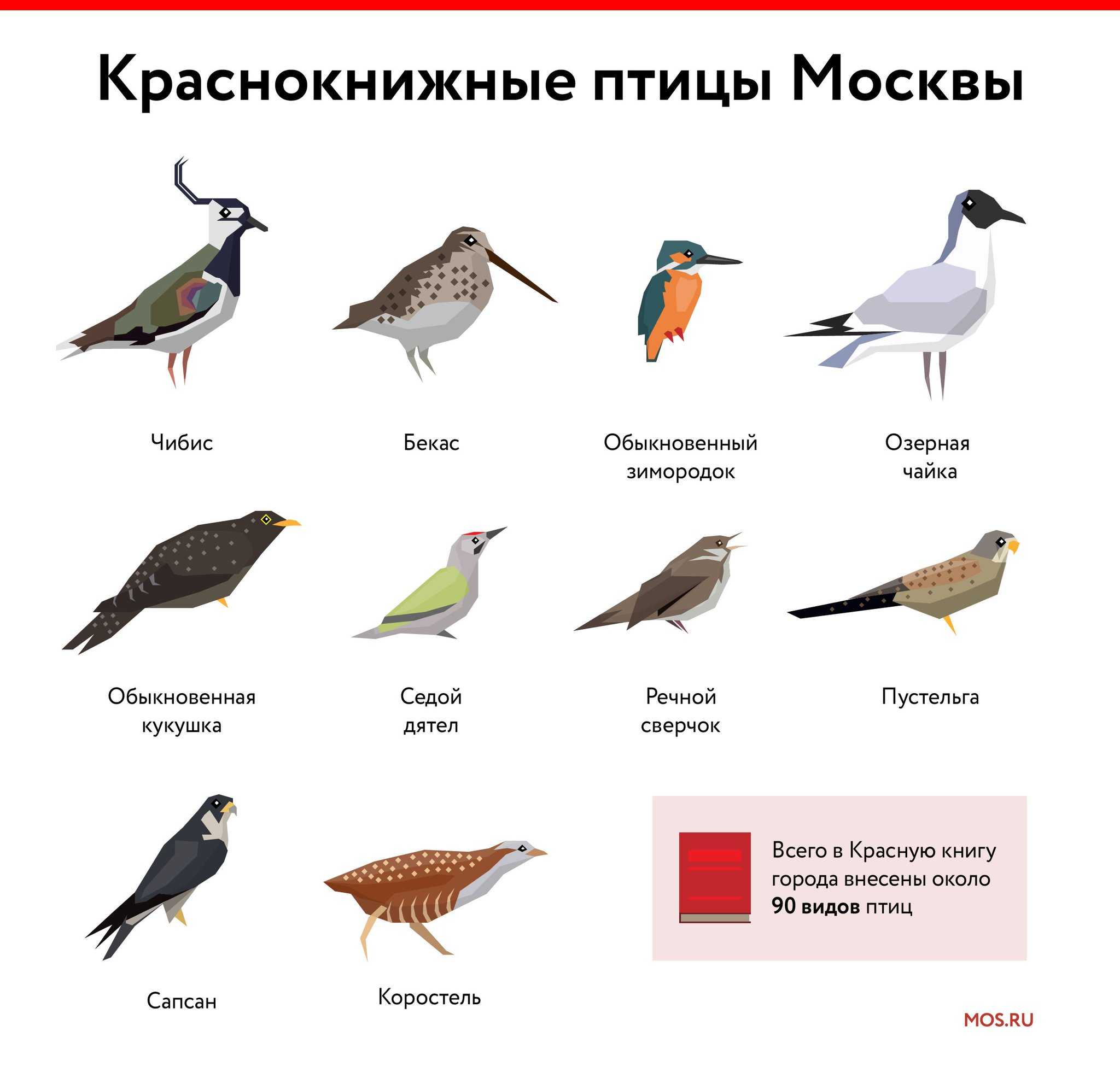 Reddit: что это за площадка и как ей пользоваться, чтобы получать ответы на любые вопросы / skillbox media