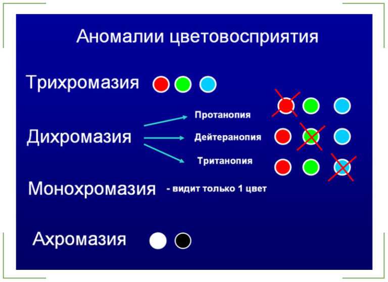 Как видят цвета дальтоники, виды дальтонизма, борьба с патологией