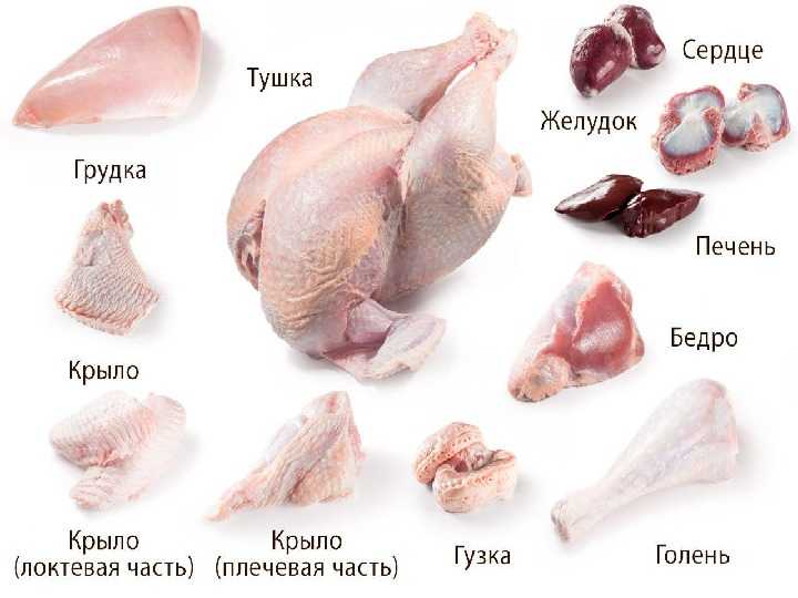Как правильно разделать курицу на порционные куски