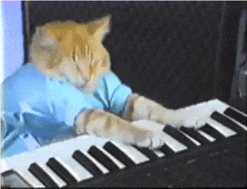 Keyboard cat — вики