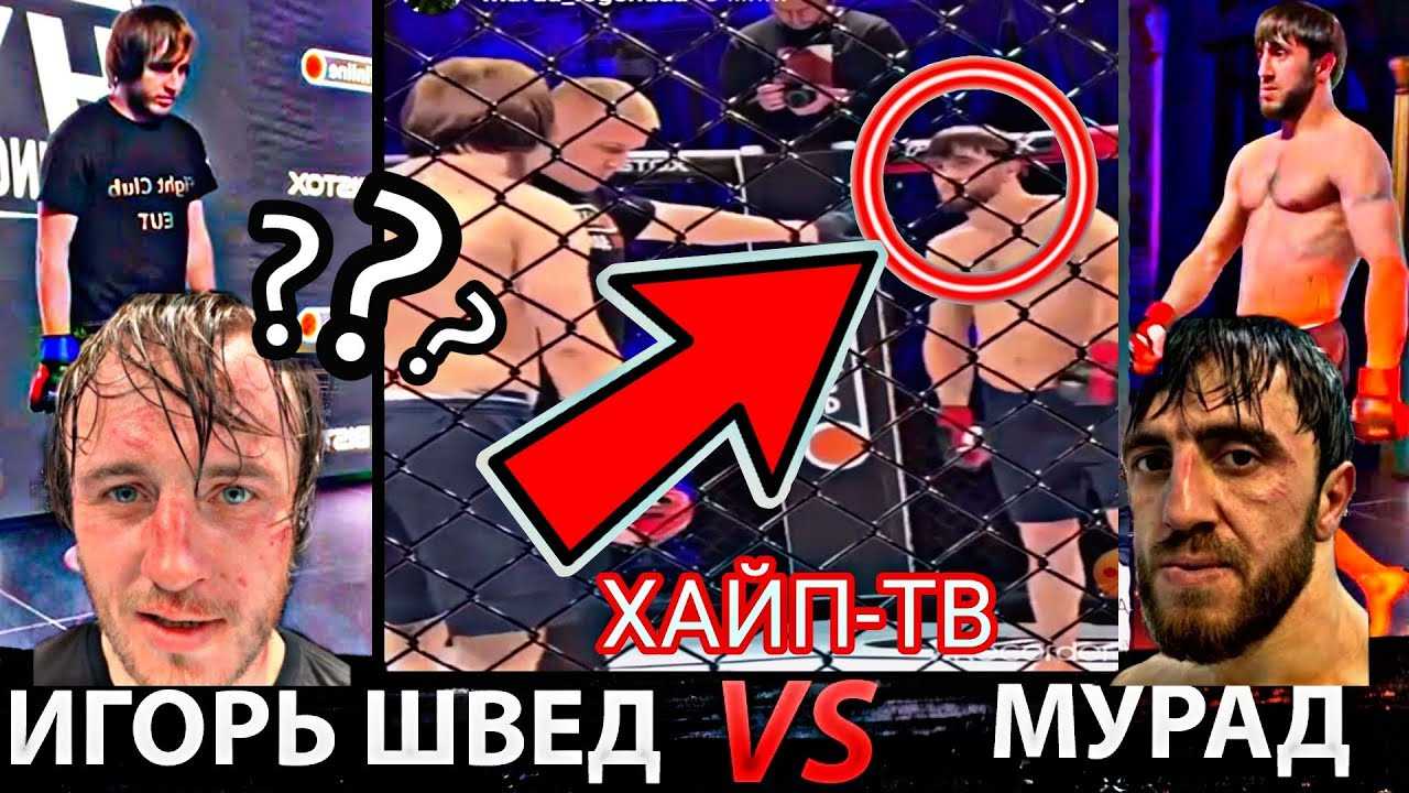 Где смотреть бой таксист мурад – игорь швед 10 апреля: дата и время боя, информация о бойцах, кто фаворит