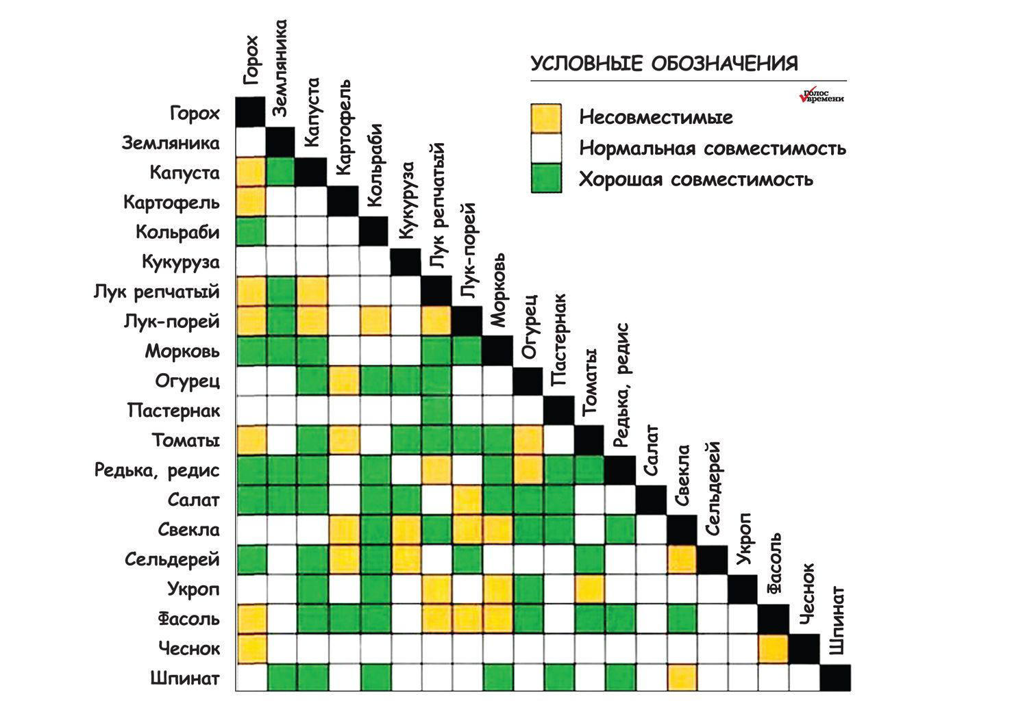 Совместимость между мужчиной и женщиной. Совместимость. Горох и капуста совместимость. Таблица совместимости масляных художественных красок. Таблица совместимости растений на огороде.