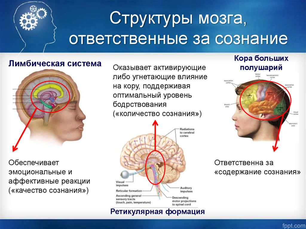 Стереотипы об аутизме: правда и ложь — no kidding