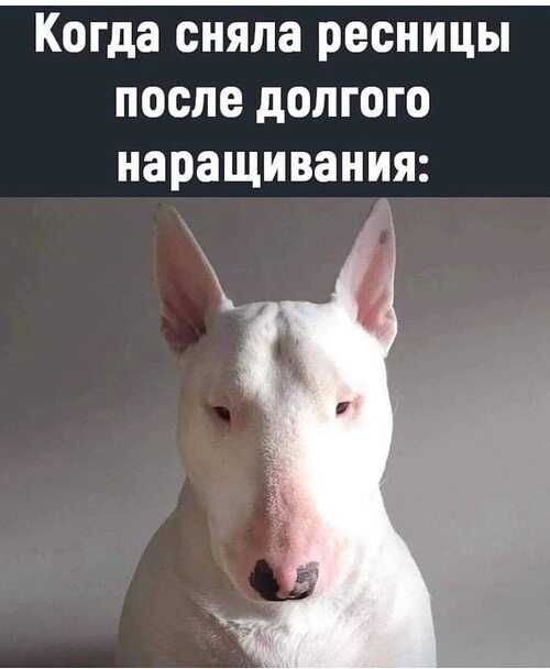 Почему сериал «острые козырьки» такой популярный и за что его любят миллионы фанатов