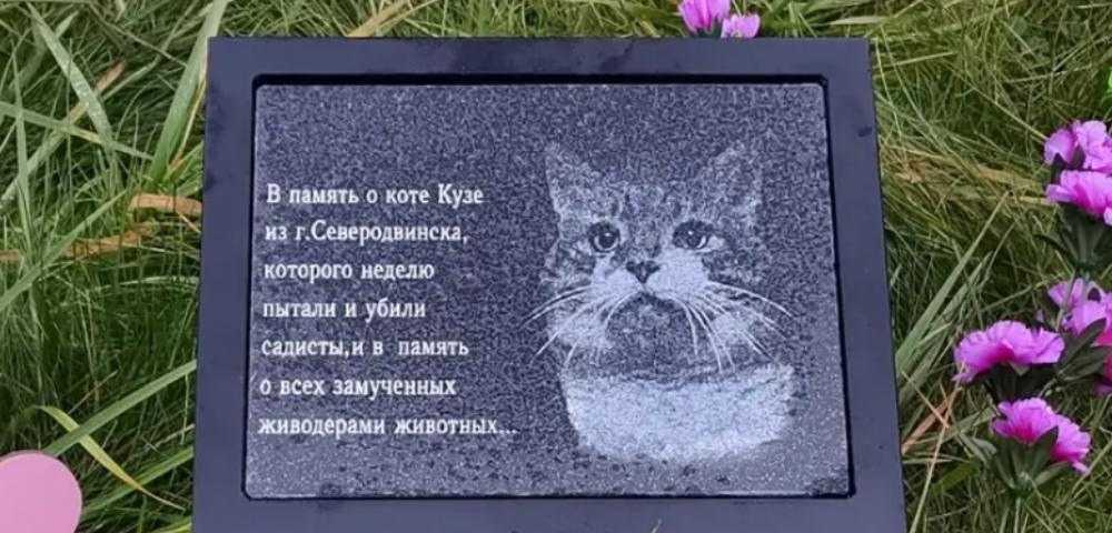 Что с женщиной анной громович, жестоко убившей кота кузю: последние новости о громком деле живодеров на сегодня