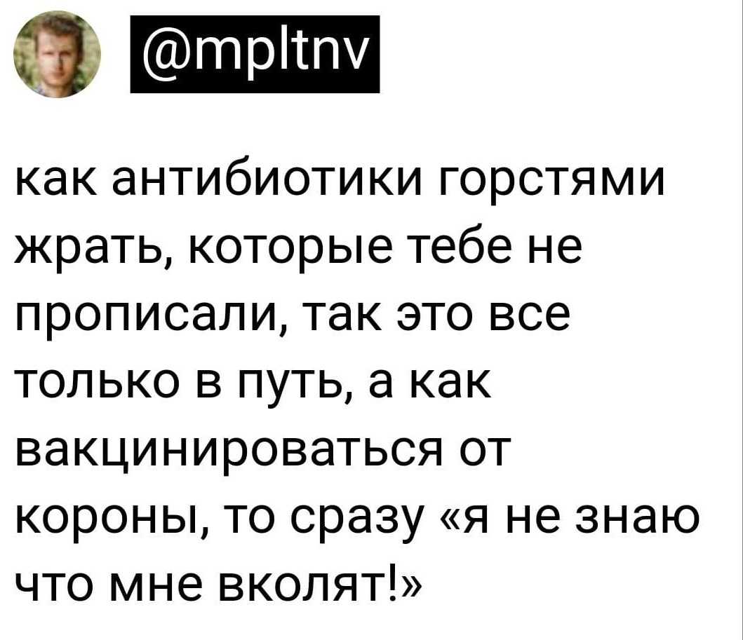 «твиттер» после покупки илоном маском: что поменялось, как он устроен сейчас и почему стоит зарегистрироваться в соцсети