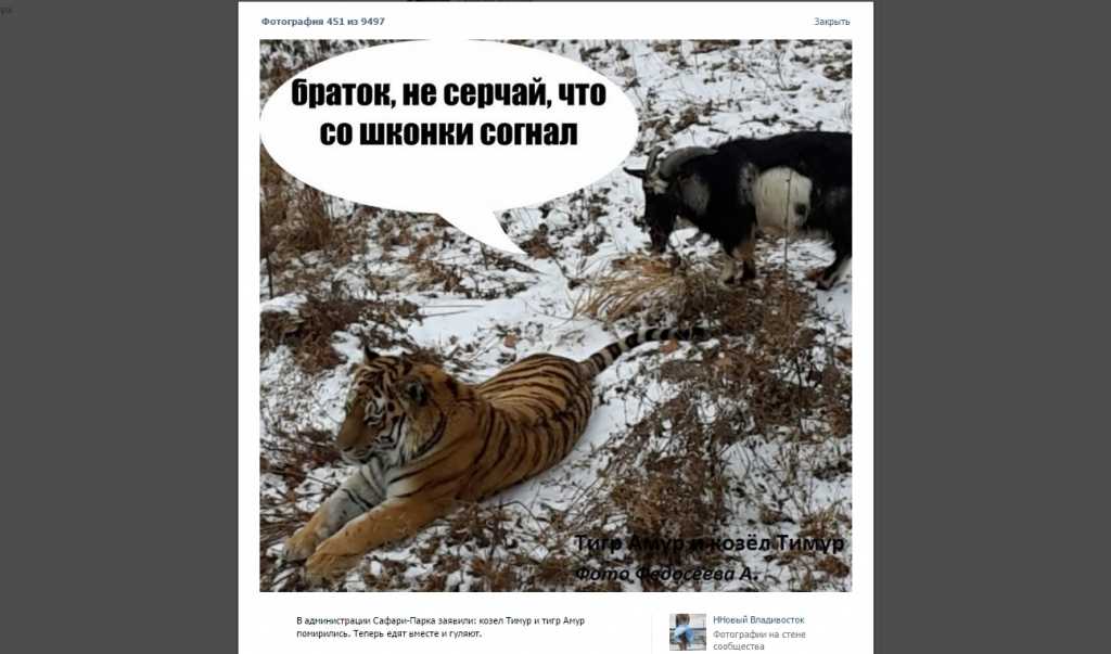 Хон сон тхэ и его путь к успеху