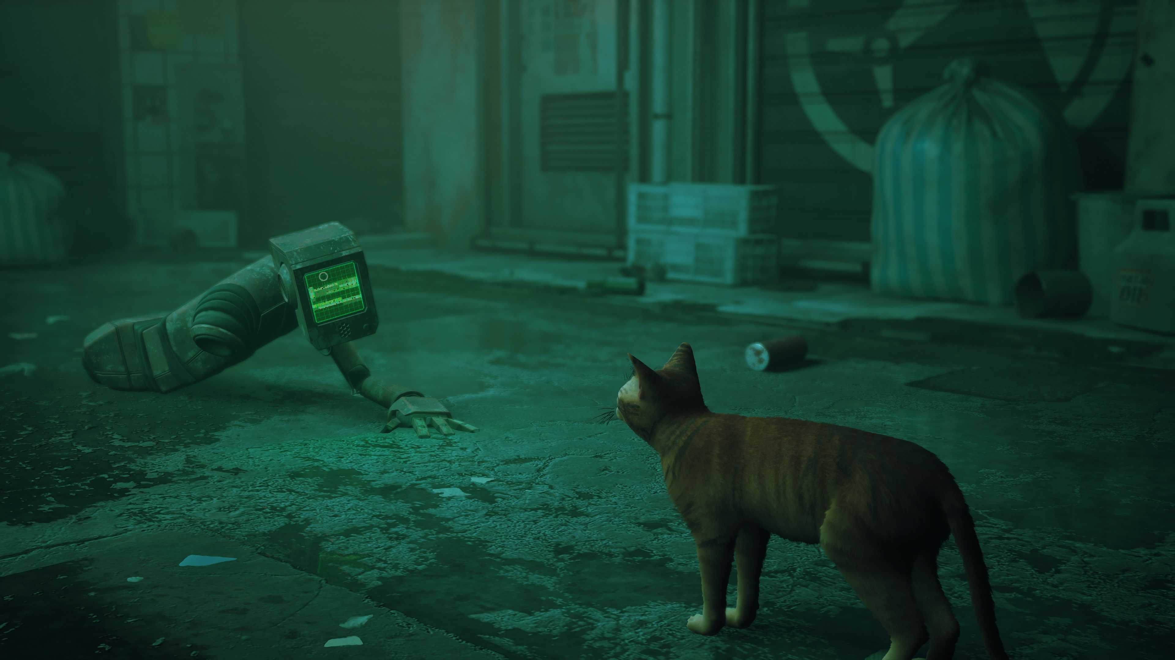 Обзор stray: исследуйте забытый город в роли самого милого кота