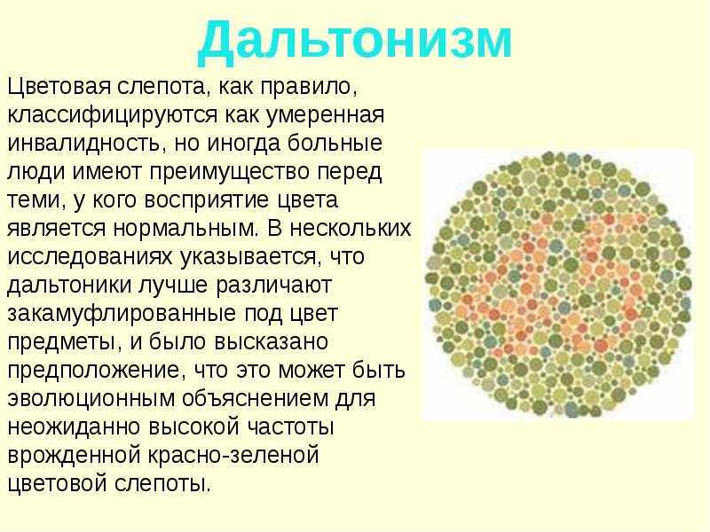 Посмотрите как дальтоники видят и различают цвета