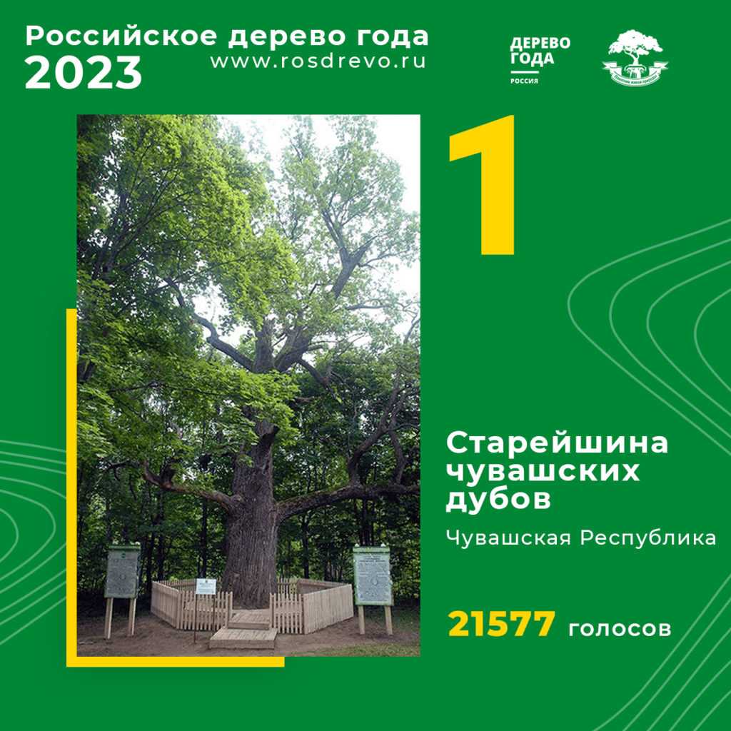 ​«призовой фонд доберётся до миллиона»: интервью с организатором 17 независимого баттла hip-hop.ru | rap.ru