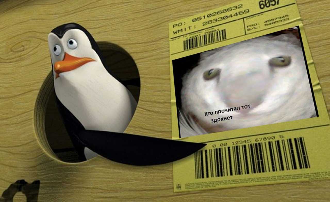 А не значит ли это что ты мем с пингвинами