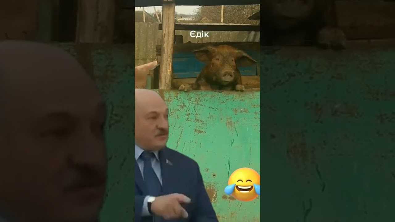 «а я сейчас покажу»: откуда на беларусь готовилось нападение в 2022 году, почему речь лукашенко превратилась в мем – видео - новороссийский портал