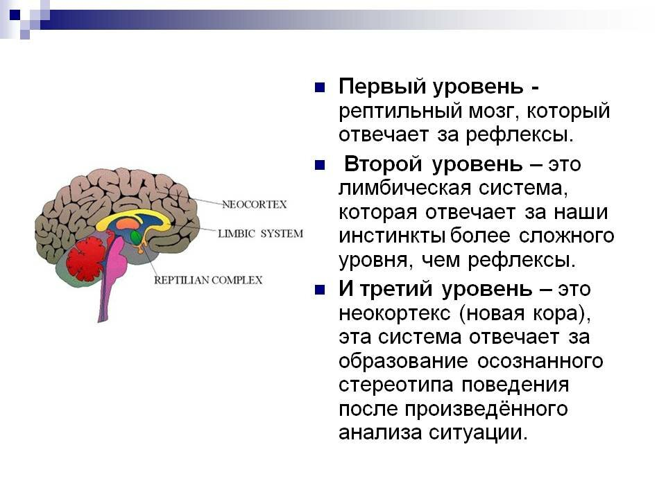 Тиктокерша с расстройством аутичного спектра показала, какие эмоции ей приносит прослушивание трека, и людям не хочется прекращать смотреть её видео