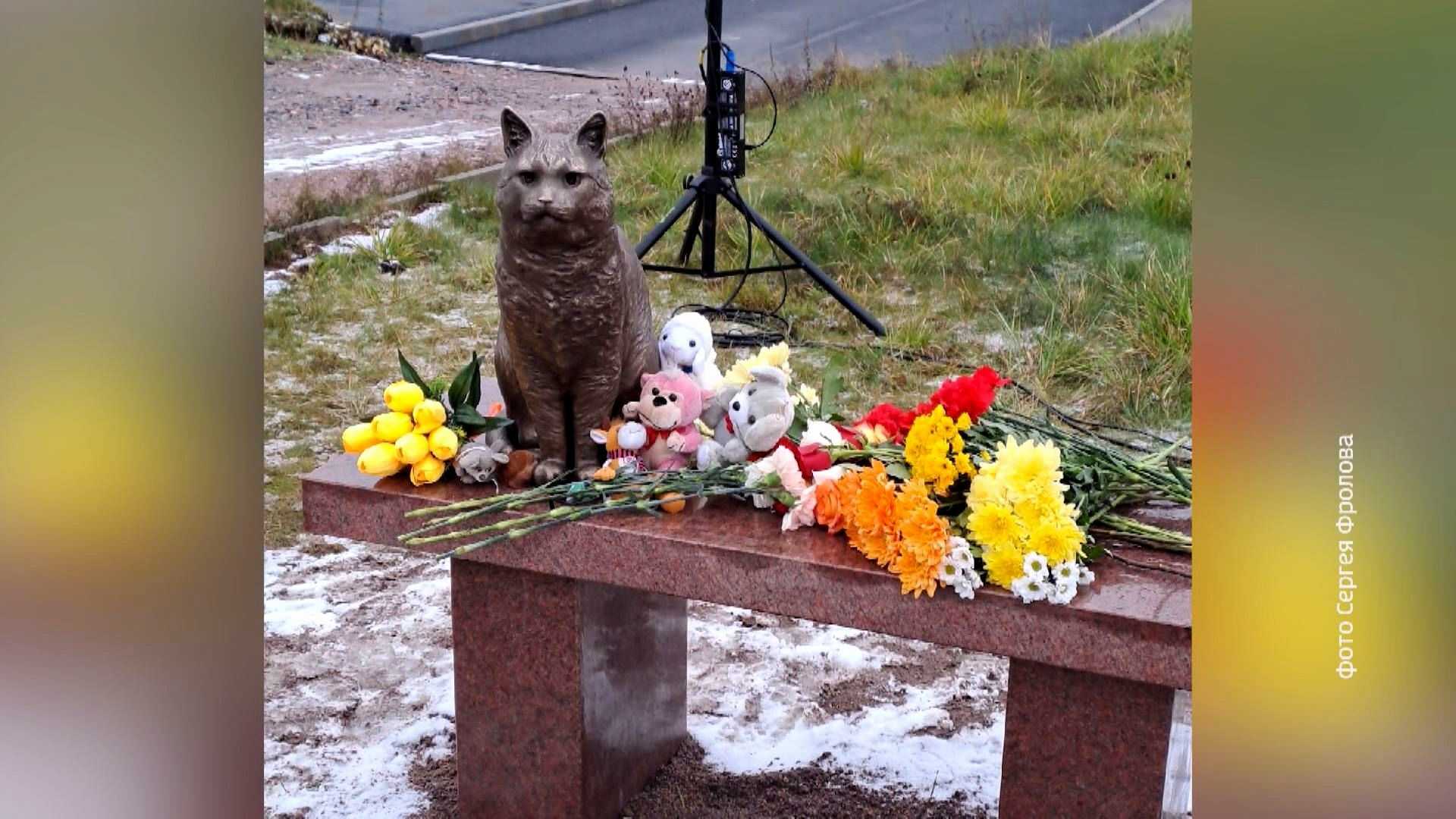 Где сейчас живодерка-поэтесса и многодетная мать анна громович, жестоко убившая кота кузю
