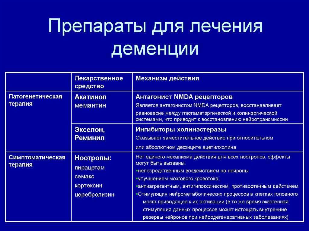 Как предотвратить побег собаки, причины побега и действия хозяев