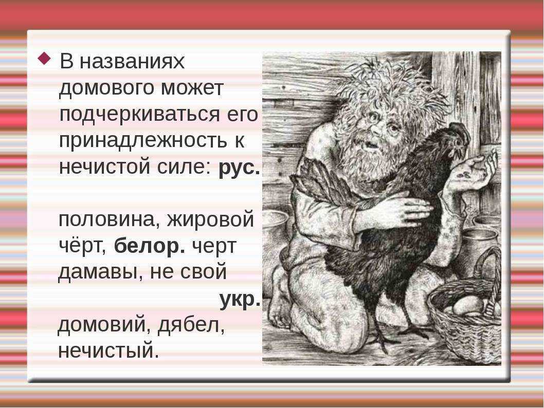 Вопрос: что за удивительная слизь живёт в парижском зоопарке?