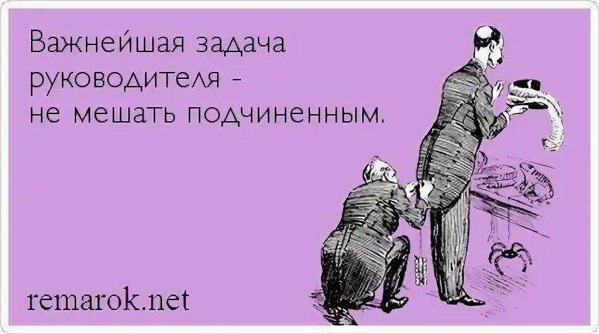 Stand up: андрей атлас – о мотивационных курсах и женском бизнесе фрагмент из stand up смотреть онлайн видео, бесплатно! | диета