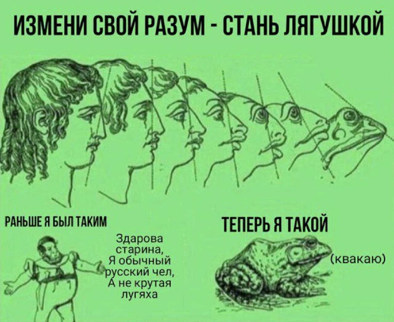 Названы самые смешные мемы 2020 года