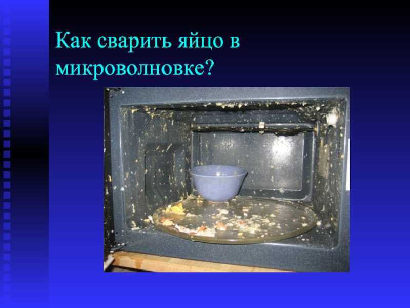 Как сварить яйца в микроволновке в воде: простые рецепты