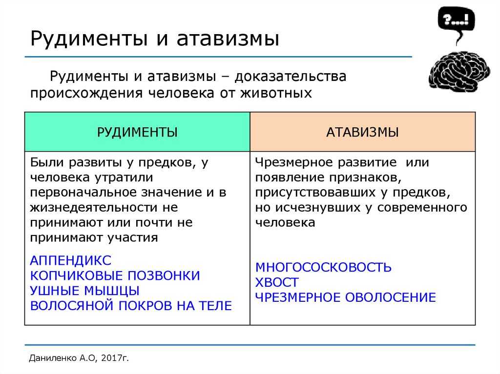 Люди находят на запястье мышцу-атавизм, которая помогала предкам лазать по деревьям Но простой эксперимент доказал, что не у каждого есть такой рудимент